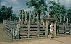 Sigiria og Polonnaruwa